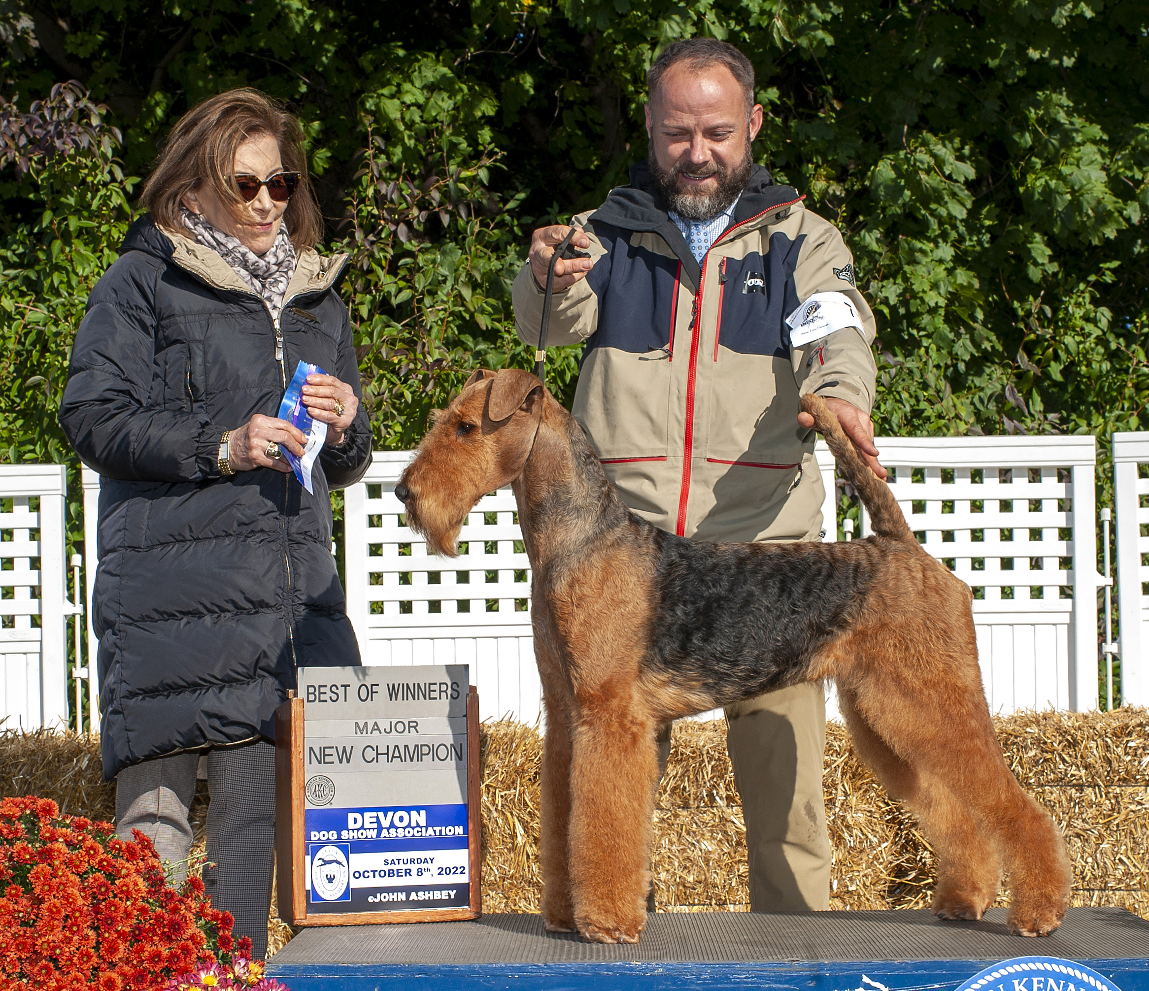 Joval On Wings of Light